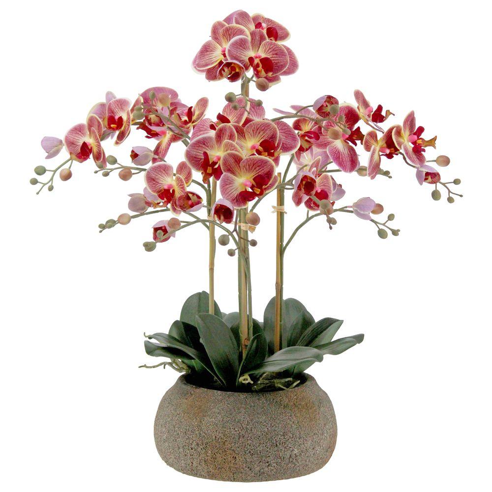 GAO 62766 Orchidea Real Touch Viola Scuro Vaso Natural 70Cm