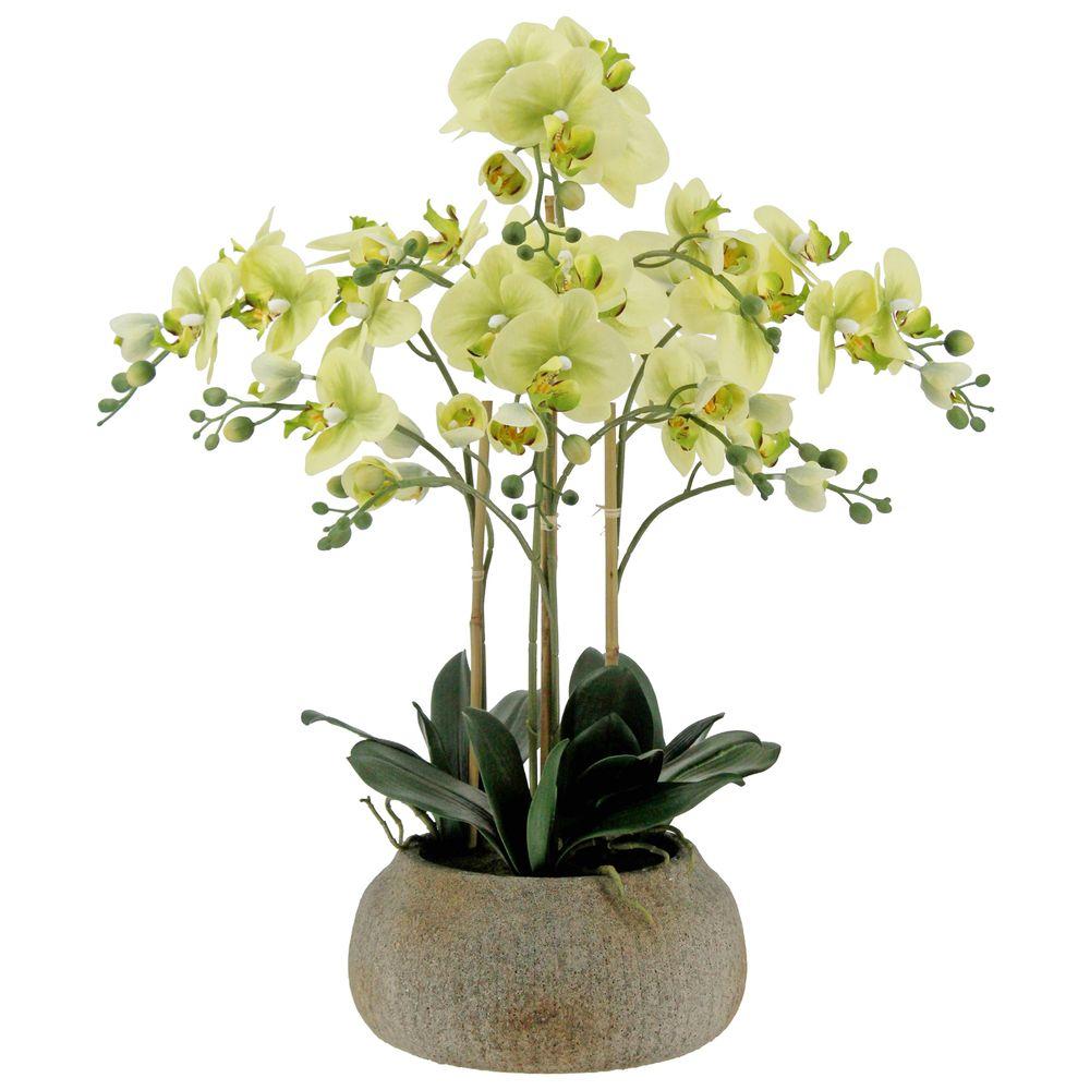 GAO 62768 Orchidea Real Touch Verde Vaso Natural 70Cm