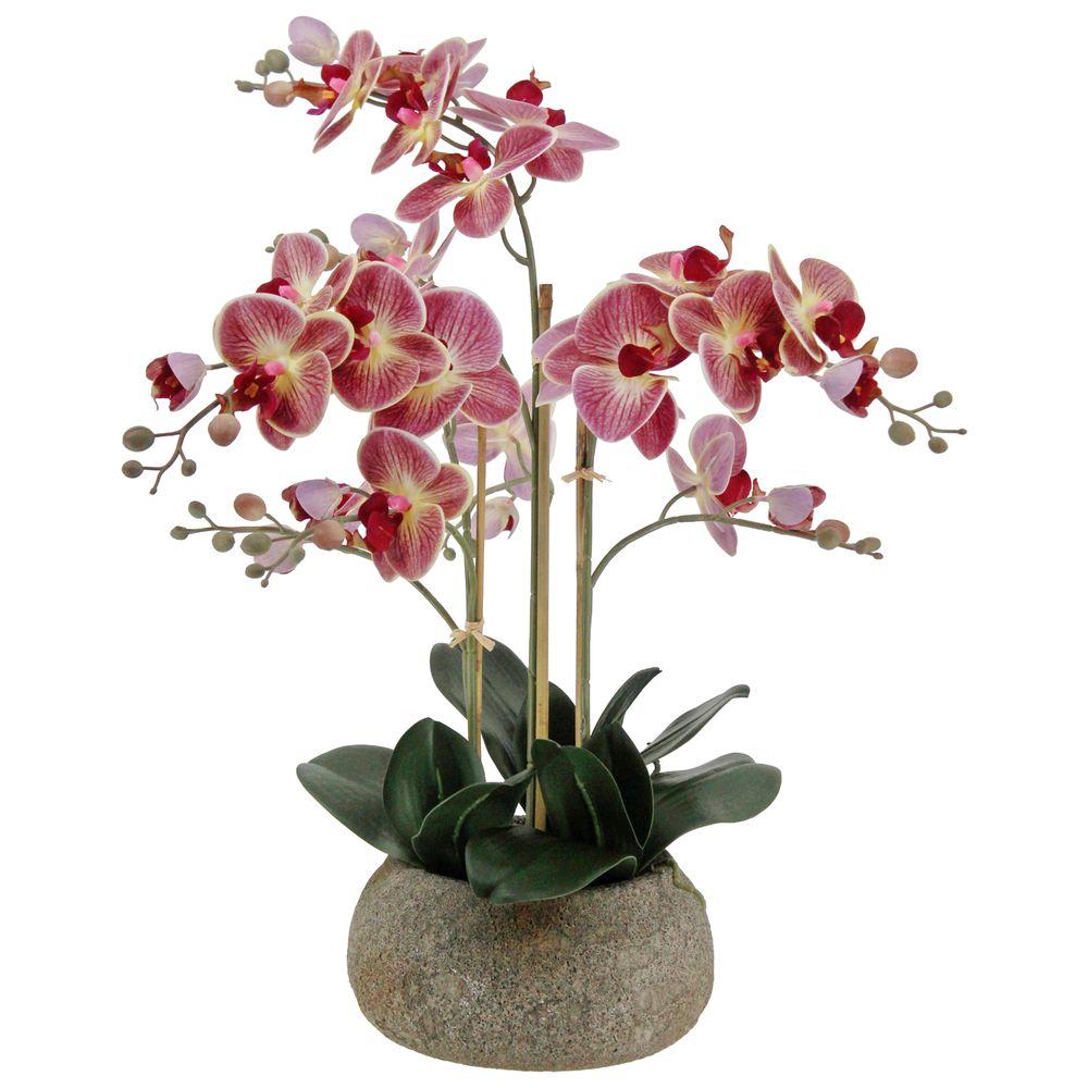 GAO 62770 Orchidea Real Touch Viola Scuro Vaso Natural 63Cm
