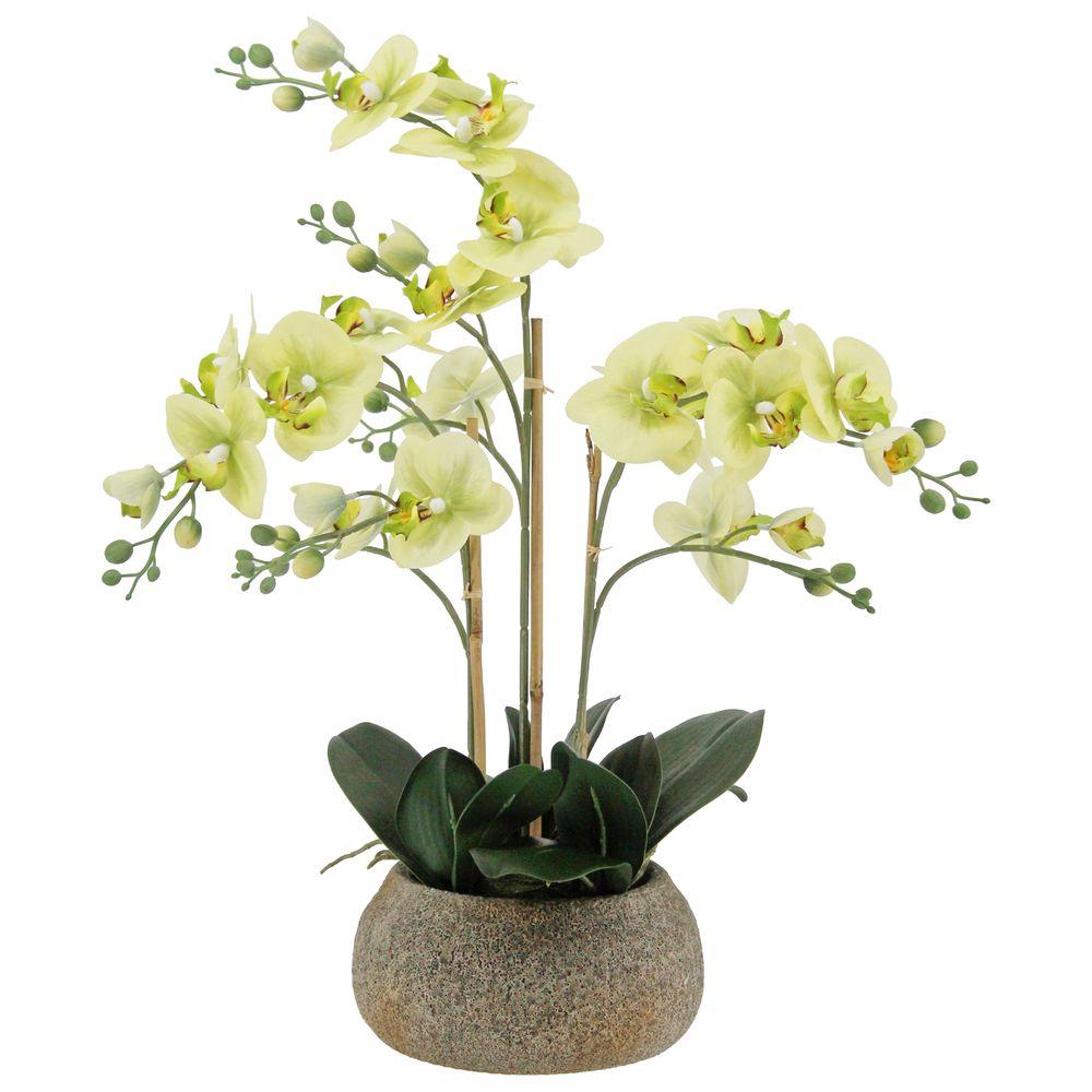 GAO 62772 Orchidea Real Touch Verde Vaso Natural 63Cm