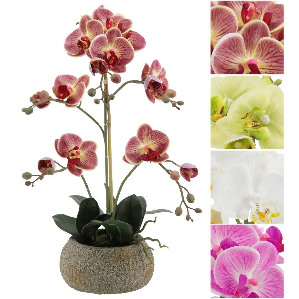 GAO 62773 Orchidea Real Touch Vaso Natural 56Cm 4 Col. Ass.