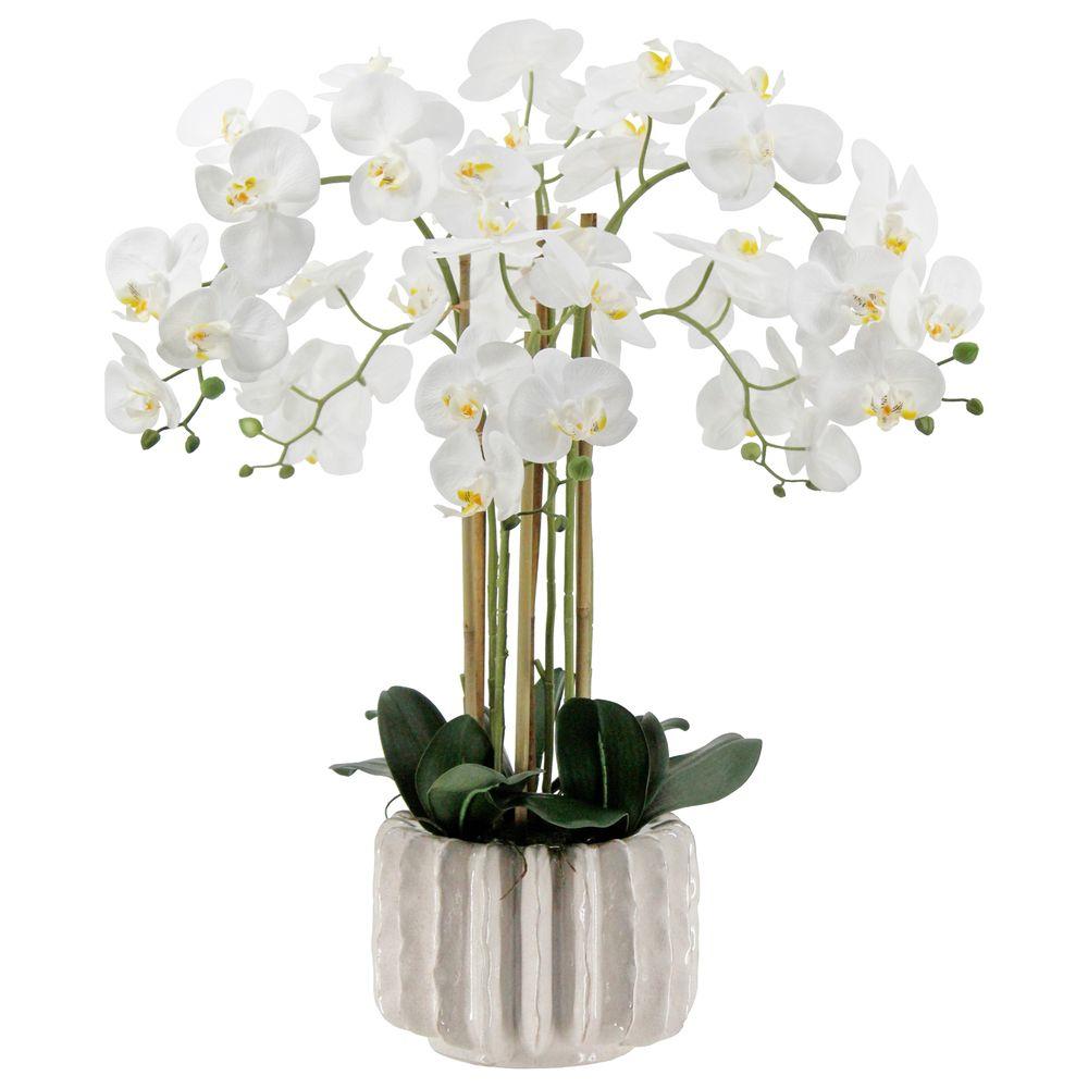 GAO 62774 Orchidea Real Touch Bianca Elegance 76Cm
