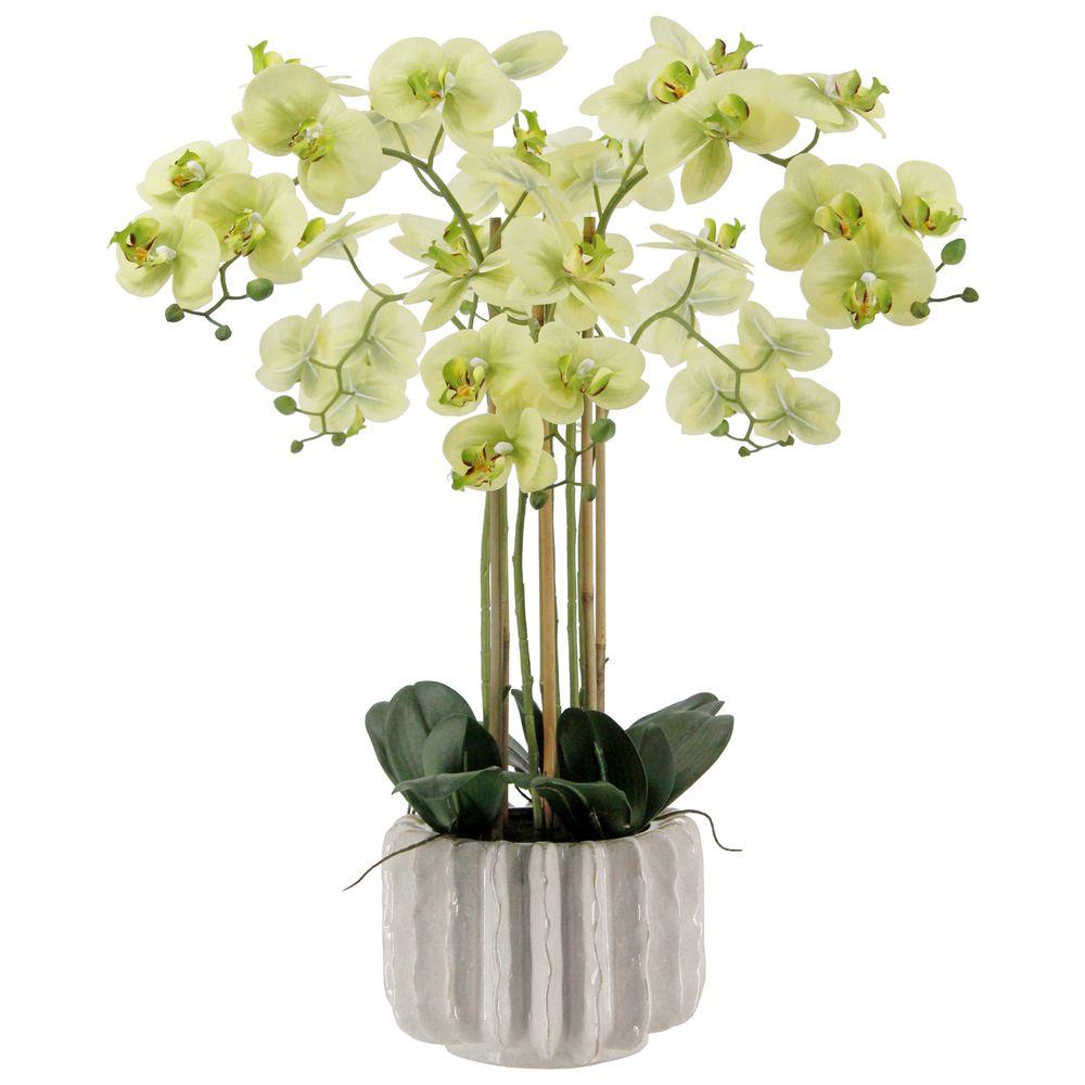 GAO 62777 Orchidea Real Touch Verde Elegance 76Cm