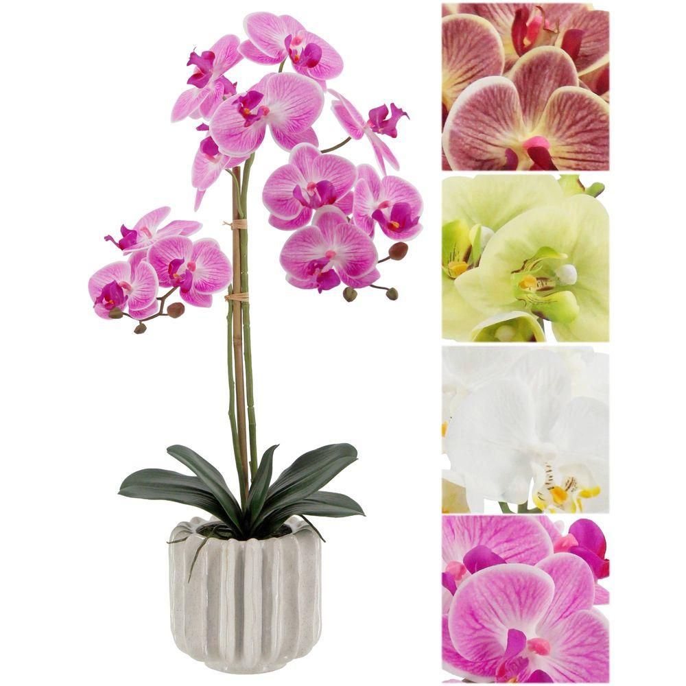 GAO 62778 Orchidea Real Touch Elegance 68Cm 4 Col. Ass.