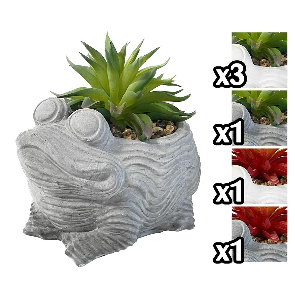 Gha 59429 Rana Pianta Grassa 15,5*13,5*15Cm 4 Ass. 1/6