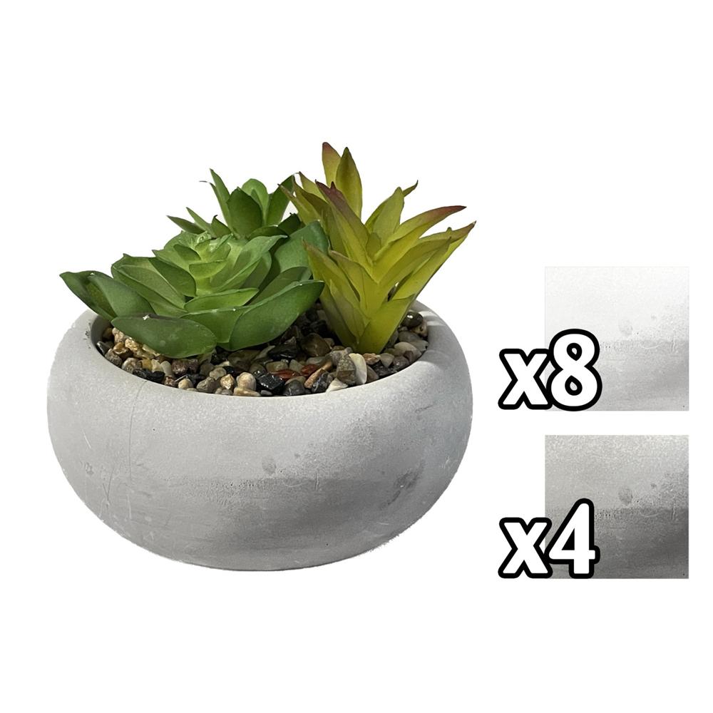 Gha 59438 Vaso Round Composiz. Piante Grasse 12*12*9,2Cm 2 Ass. 1/12