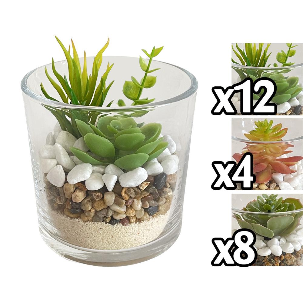 Gha 60050 Vaso Pianta Grassa Round Glass 10*10Cm 3 Ass.