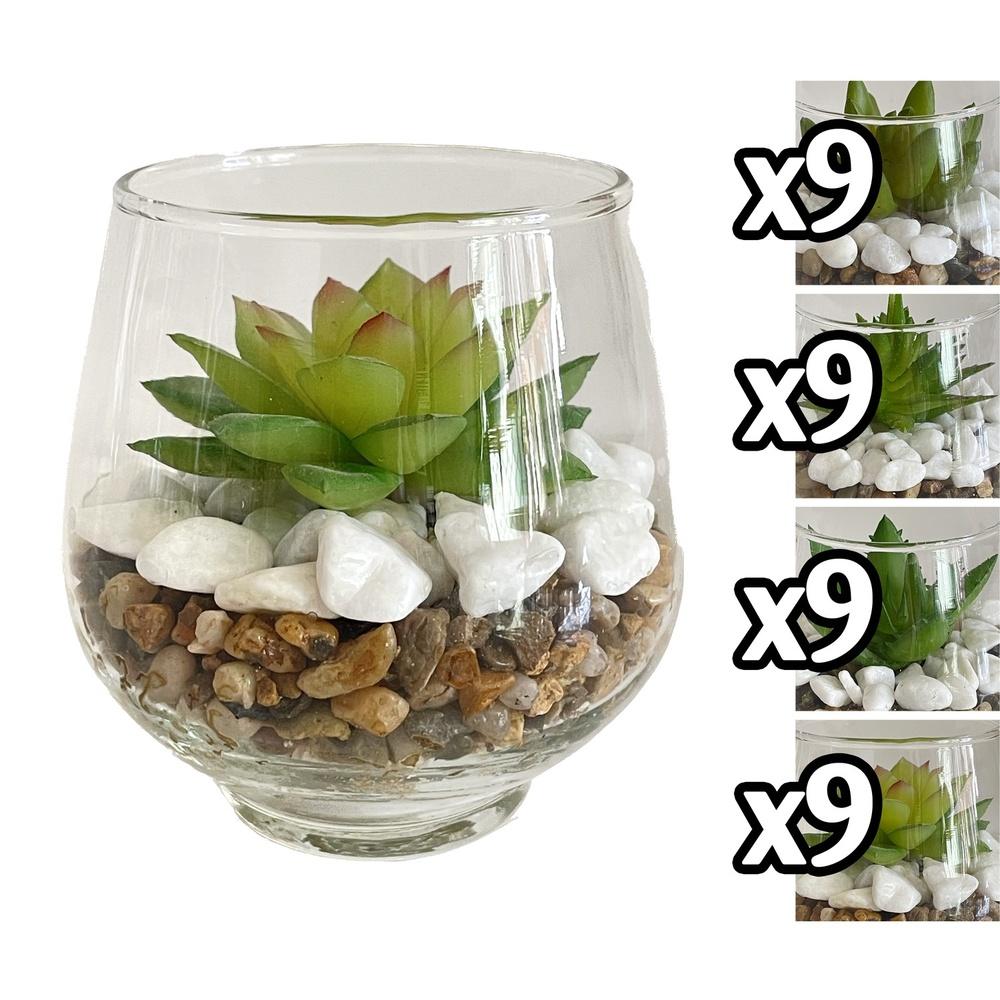 Gha 60051 Pianta Grassa Vasetto Vetro 9*9,5Cm 4 Ass.