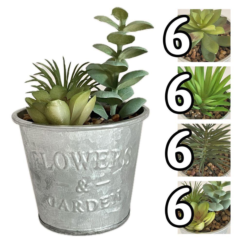 Gha 60515 Pianta Grassa Tin Tropical 8*8*13Cm 4 Ass.