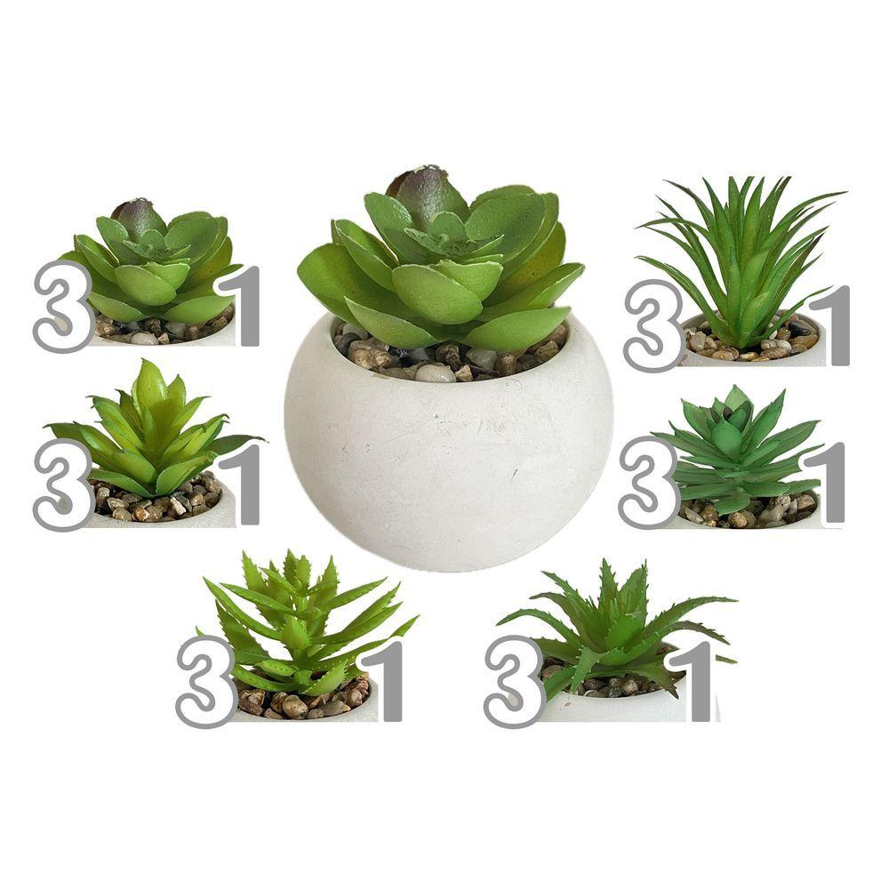 Gha 60516 Pianta Grassa Round Tropical 7,5*7,5*8,5Cm 6 Ass. - Assortito - Piante | Mikasa