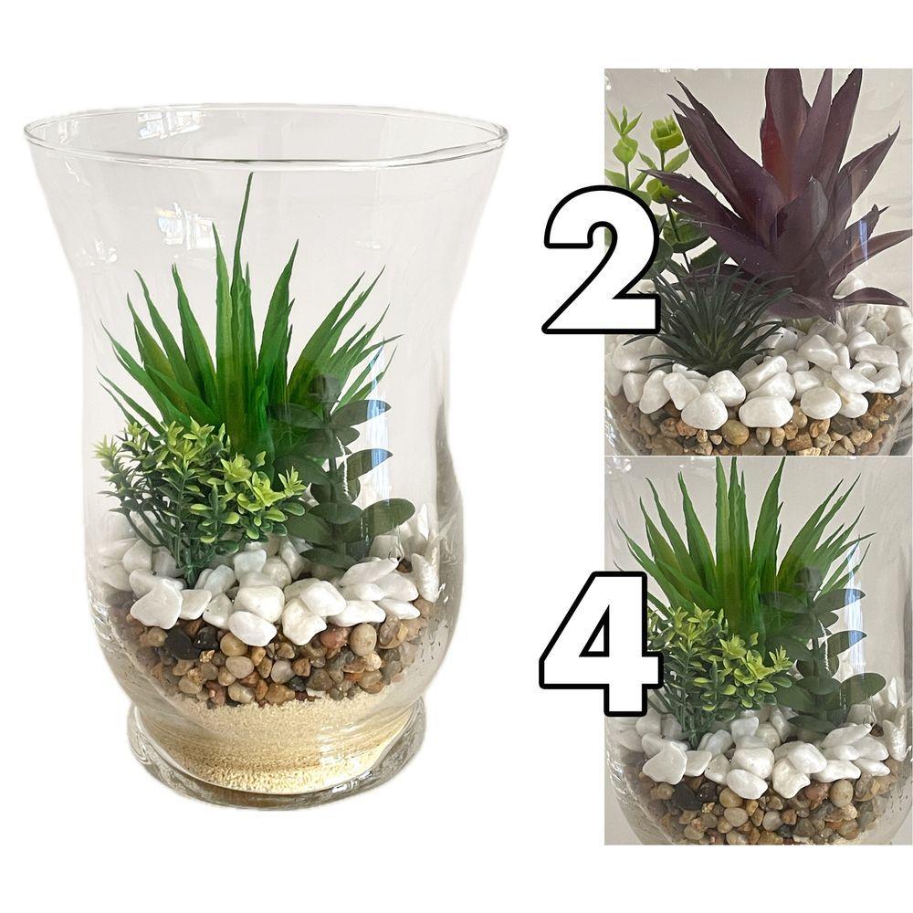 GHA 62174 Vaso Coppa Vetro Pianta Grassa Big 14*20Cm 2 Ass. - Vetro Assortito - Piante | Mikasa