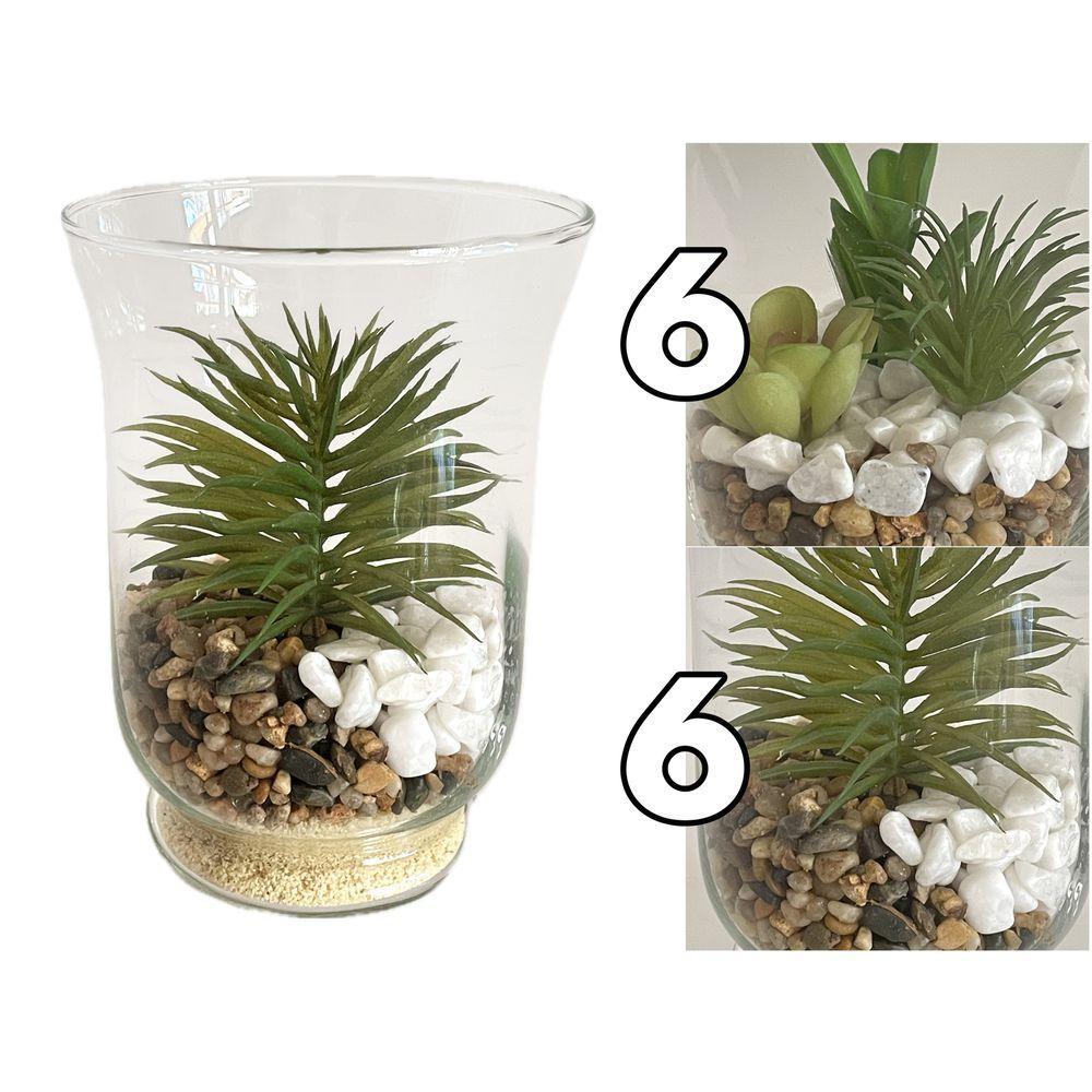 GHA 62175 Vaso Coppa Vetro Pianta Grassa Medium 11*15Cm 2 Ass.