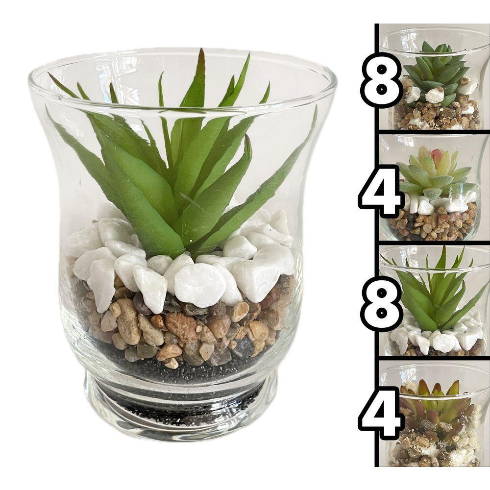 GHA 62176 Vaso Coppa Vetro Pianta Grassa Small 9*11Cm 4 Ass.