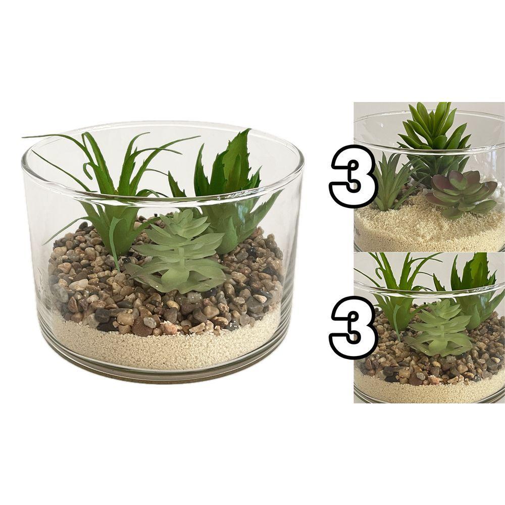 GHA 62177 Vaso Round Vetro Garden 15*10Cm 2 Ass. - Vetro Assortito - Piante | Mikasa