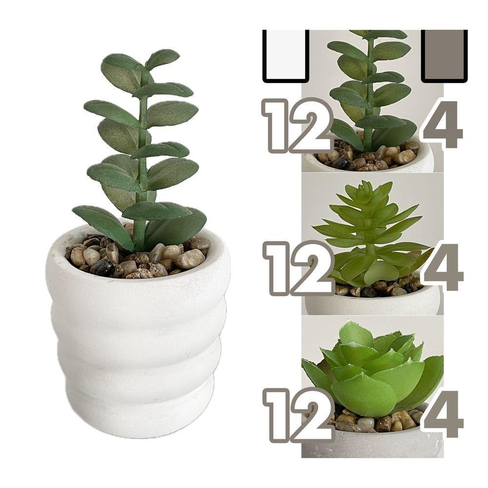 GHA 62179 Vaso Cement Roung Rings 6*11,5Cm 6 Ass. - Assortito - Piante | Mikasa