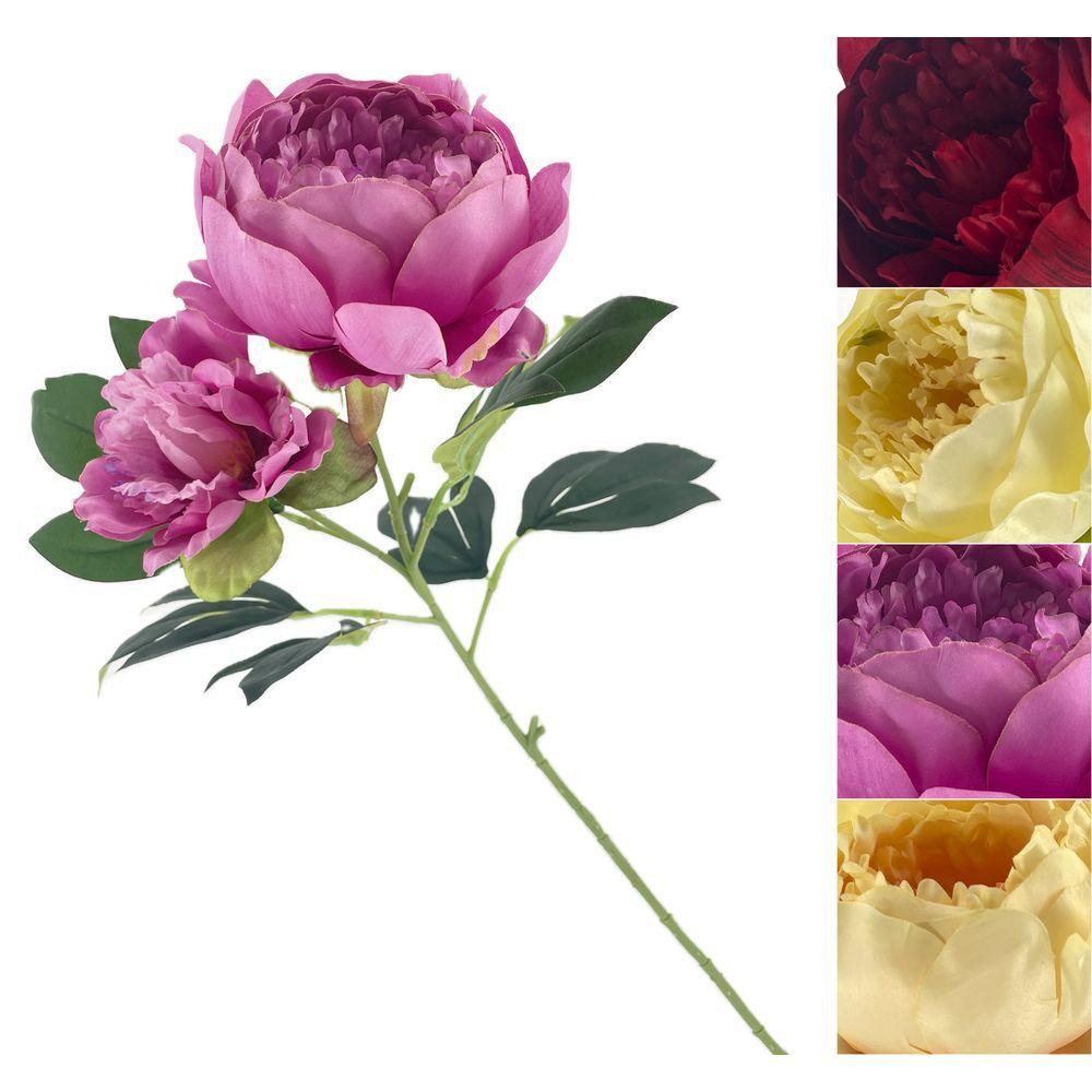 GIG 62197 Stelo Peonia Cabbage 66Cm 4 Ass. - Assortito - Fiori | Mikasa