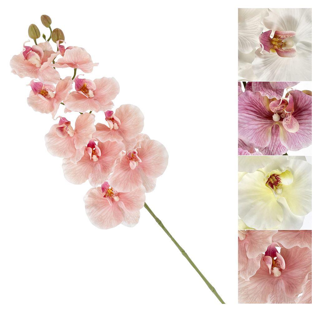 GIG 62200 Orchidea Soft Stelo 100Cm 4 Ass. - Assortito - Fiori | Mikasa