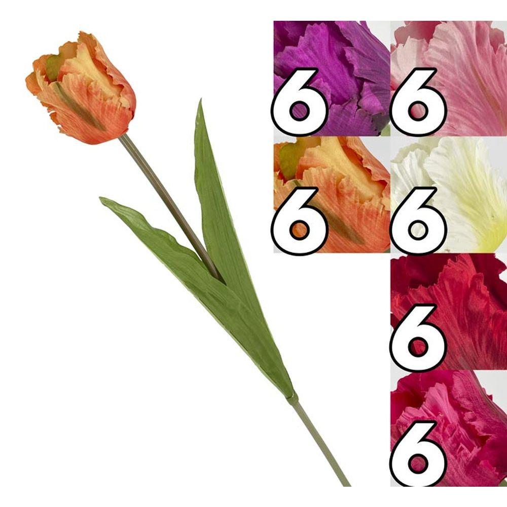 GIG 62696 Stelo Tulipano Frangiato 73Cm 6 Ass. - Assortito - Fiori | Mikasa