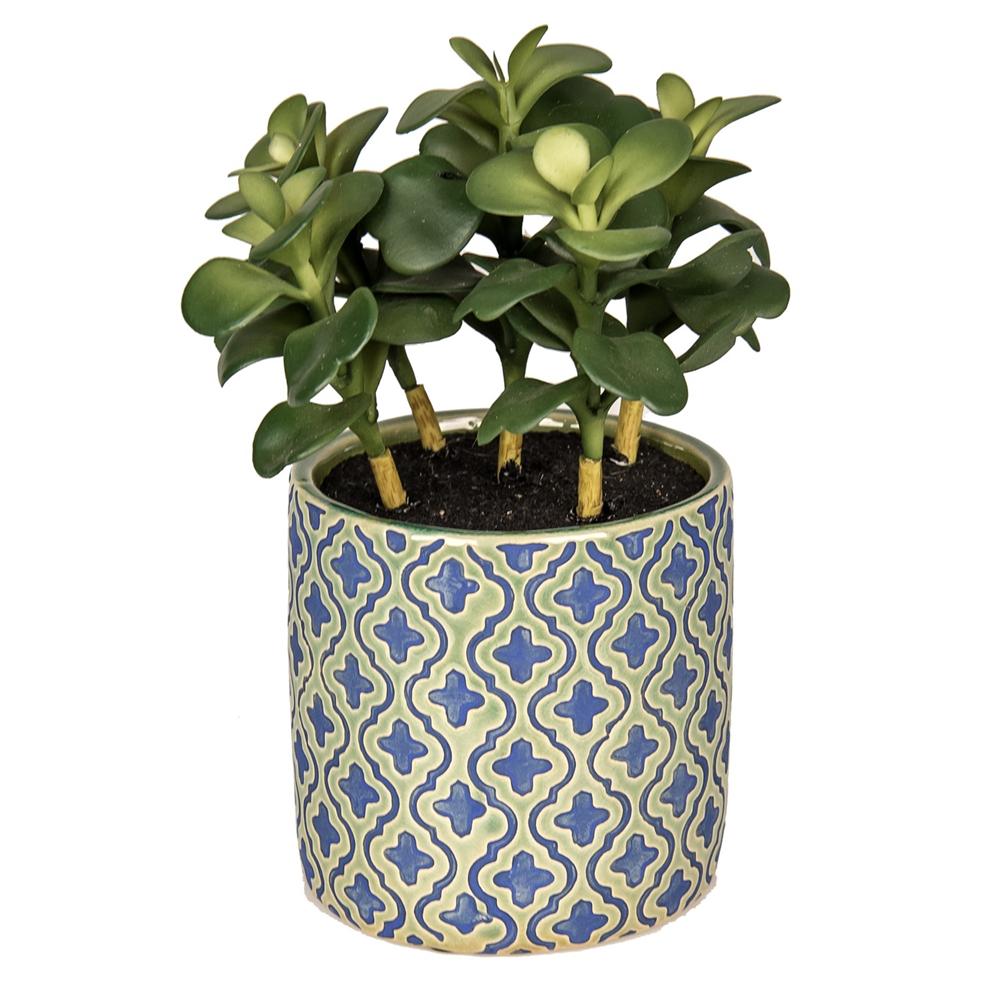 Gua 55361 Piantina Round Capri D.15*21Cm - Piante | Mikasa