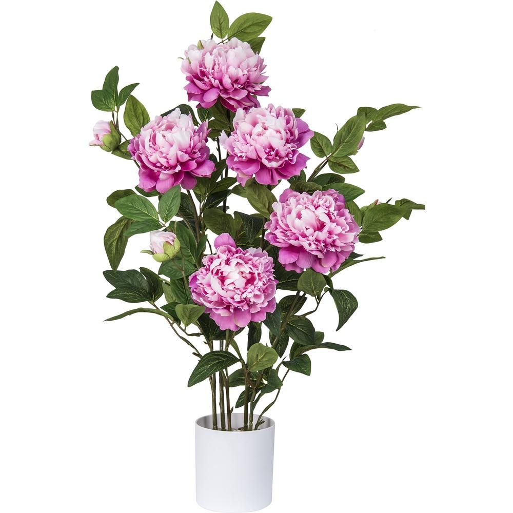 Gyi 56186 Pianta Peonia H.80Cm - Piante | Mikasa