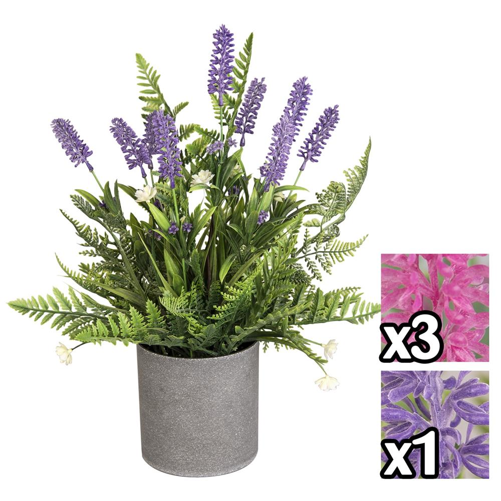 Lao 57494 Pianta Lavanda E Felce D.12*45Cm 2 Ass. - Assortito - Piante | Mikasa