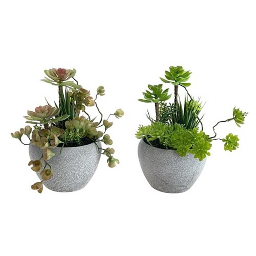 Lao 58715 Vasetto Composizione 28Cm 2 Ass. - Assortito - Piante | Mikasa