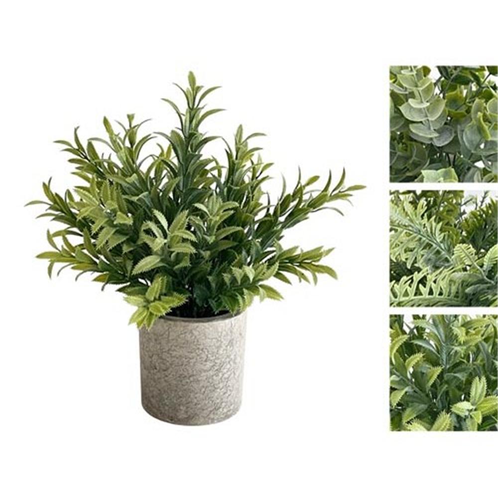 Lao 58716 Vaso Green Decor 22Cm 3 Ass. - Verde - Piante | Mikasa
