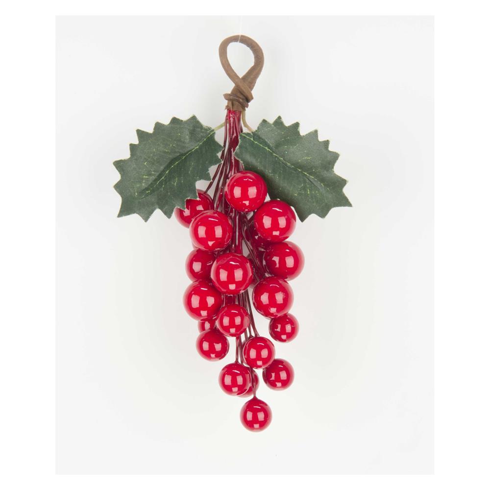 Lei 39873 Uva Quality Natale Rossa   24/72  20Cm