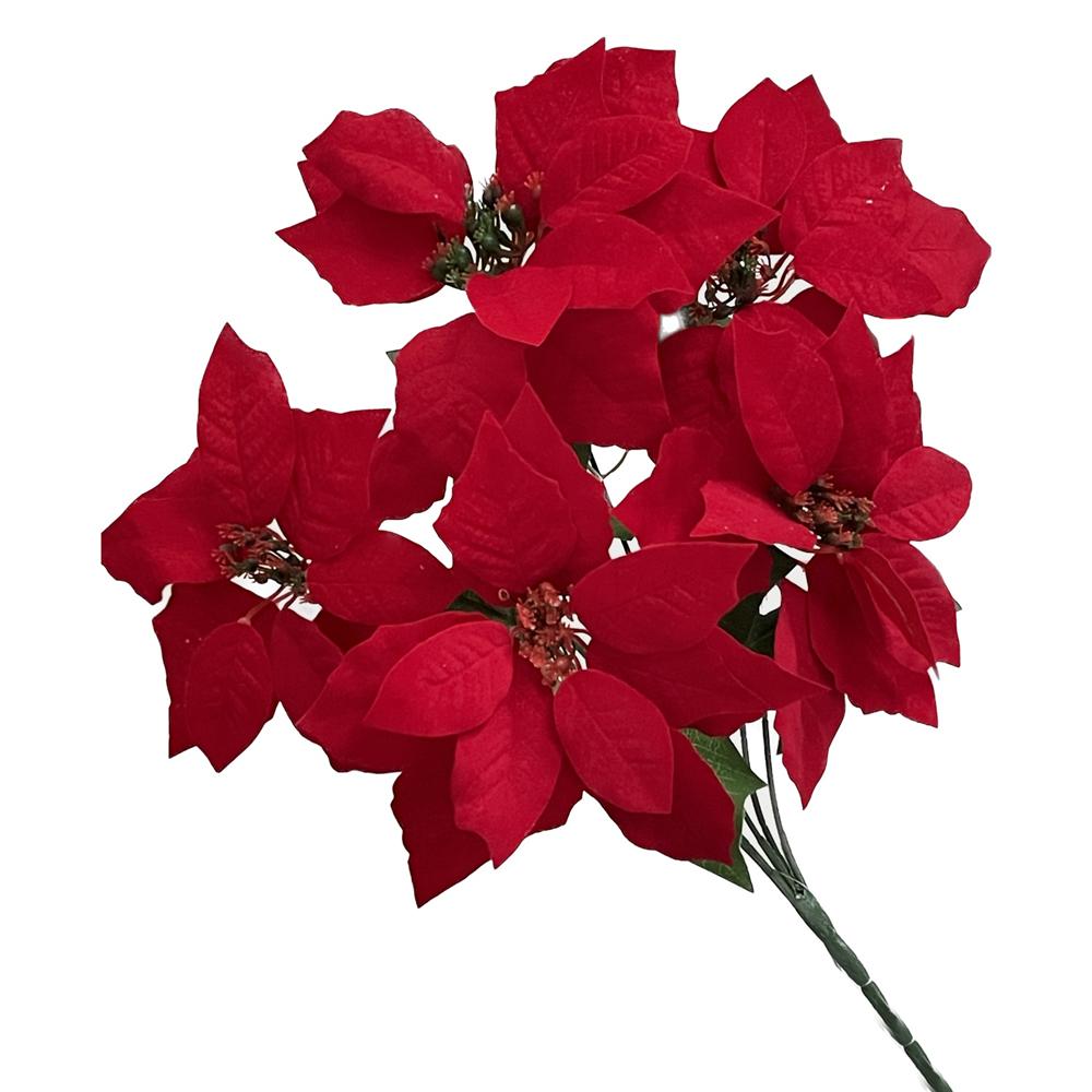 Lei 59019 Bush Red 5 Stelle Di Natale Small 48Cm