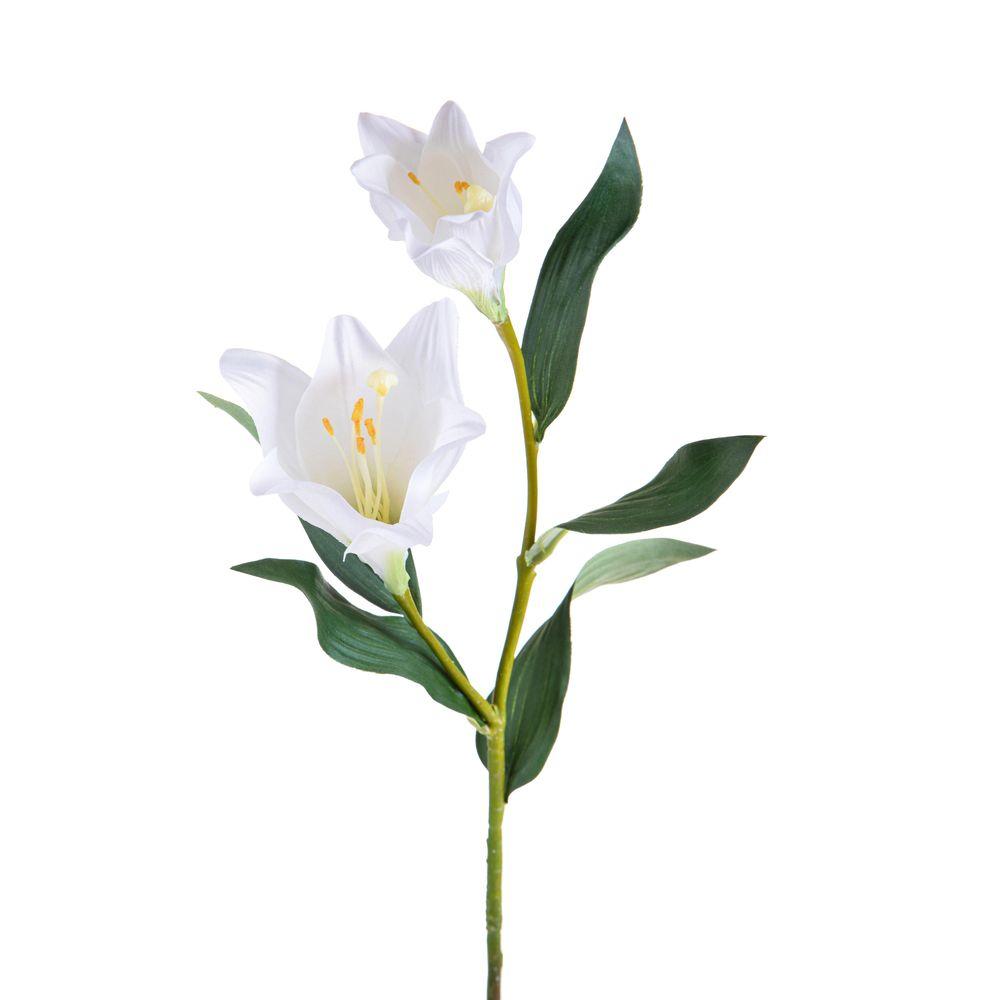 Longiflor X 2 94 Cm