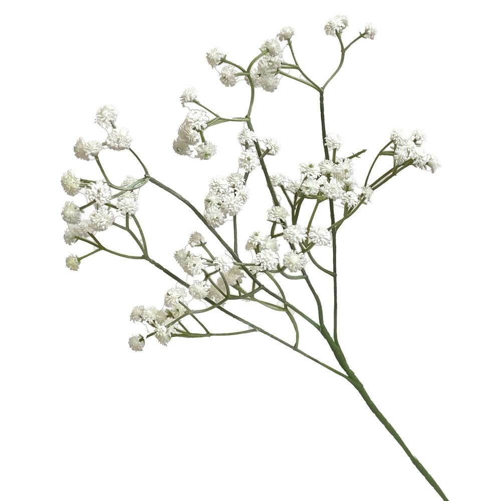 Lus 60068 Stelo Nebbiolina Bianca Singola 61Cm