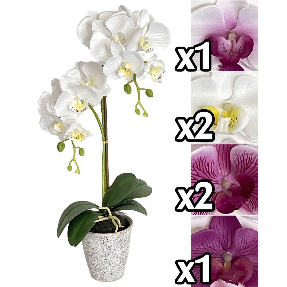 Mei 60165 Orchidea Tall Pot 55Cm 4 Ass.