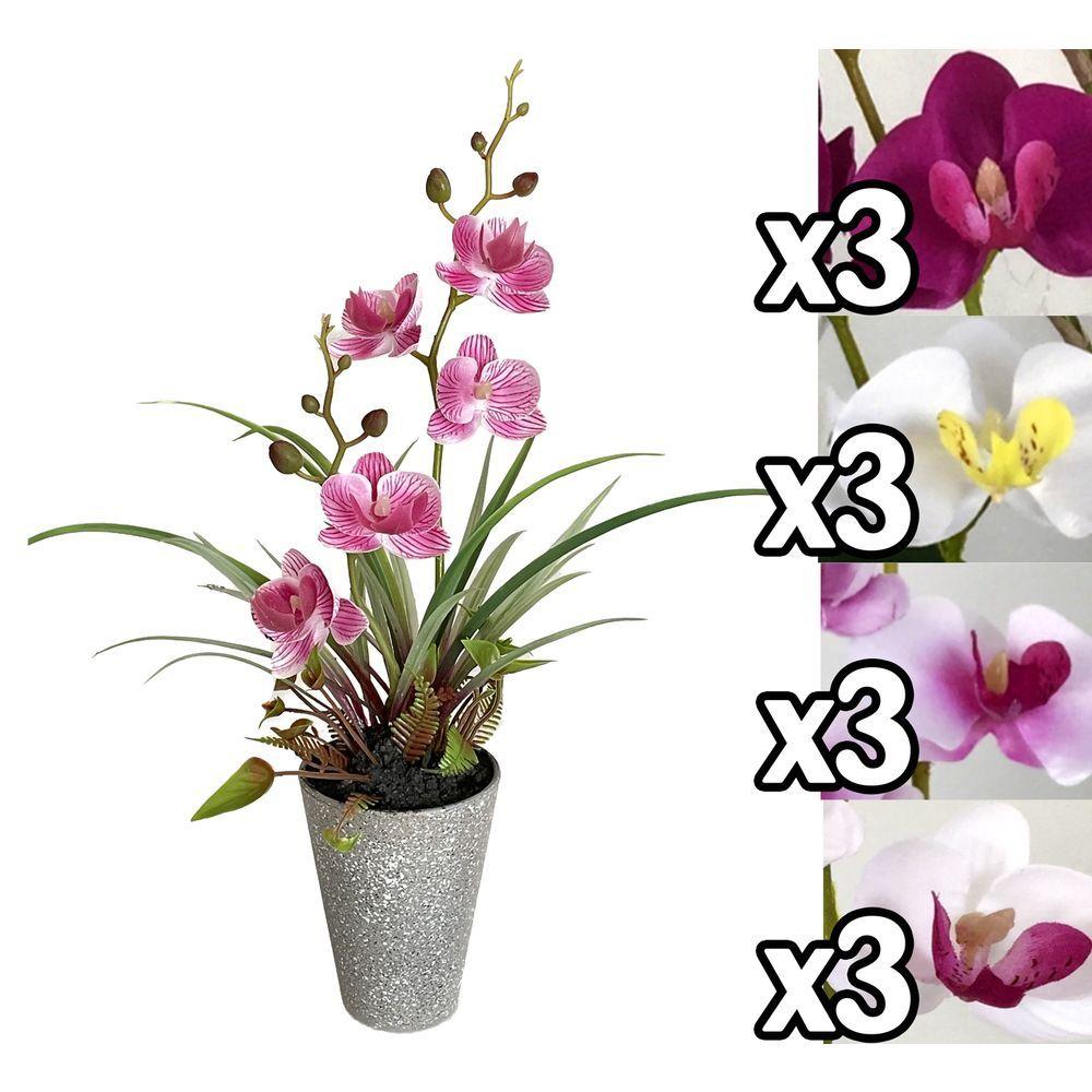 Mei 60168 Piantina Orchidea Natural 37Cm 4 Ass.