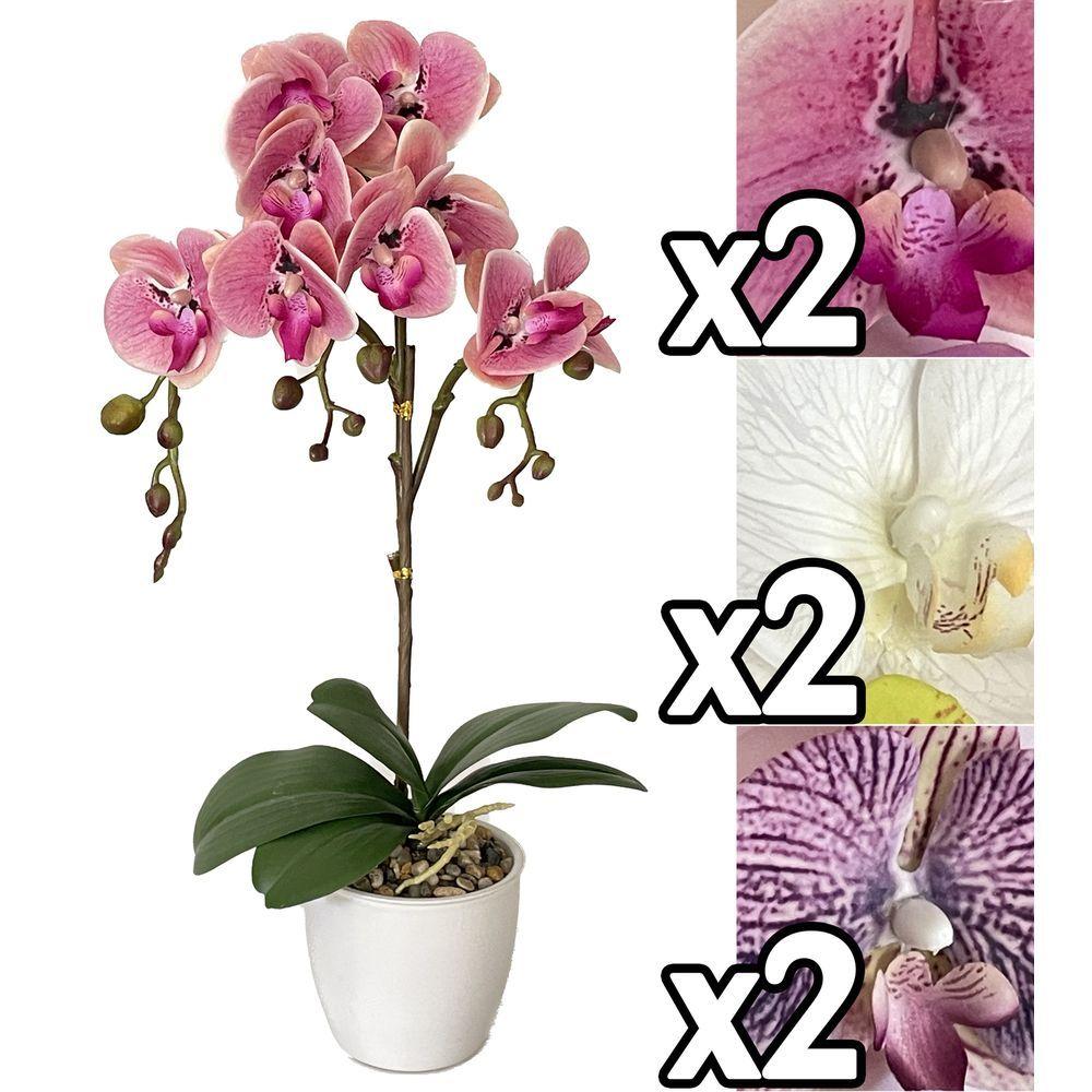 Mei 60170 Orchidea Real Touch Vaso 54Cm 3 Ass.