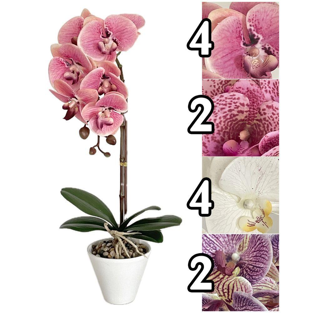 Mei 60869 Pianta Orchidea Noble H.44Cm 4 Ass.
