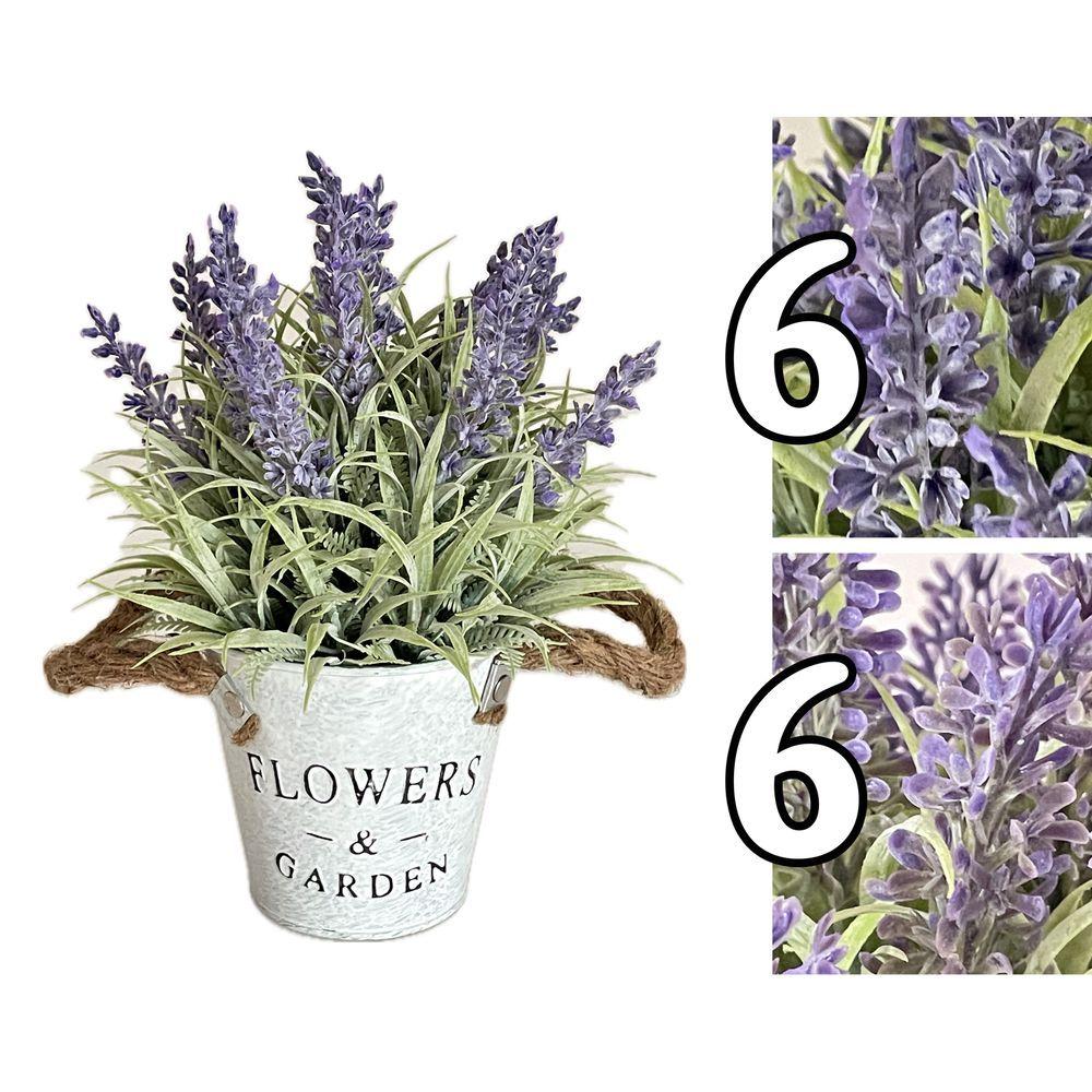 Mei 60874 Piantina Lavanda Juta Flowers&Garden H.23,5Cm 2 Ass.