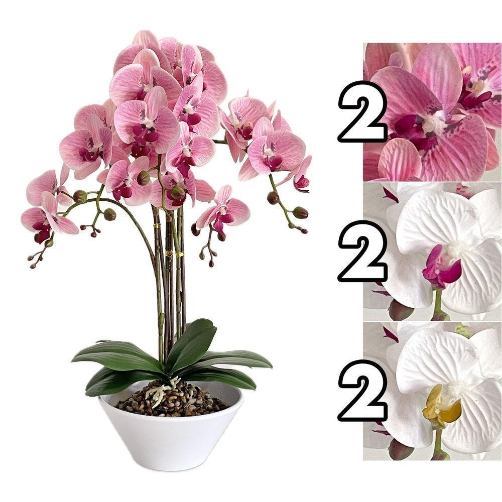 MEI 62079 Orchidea Majesty Real Touch 57Cm 3 Ass.