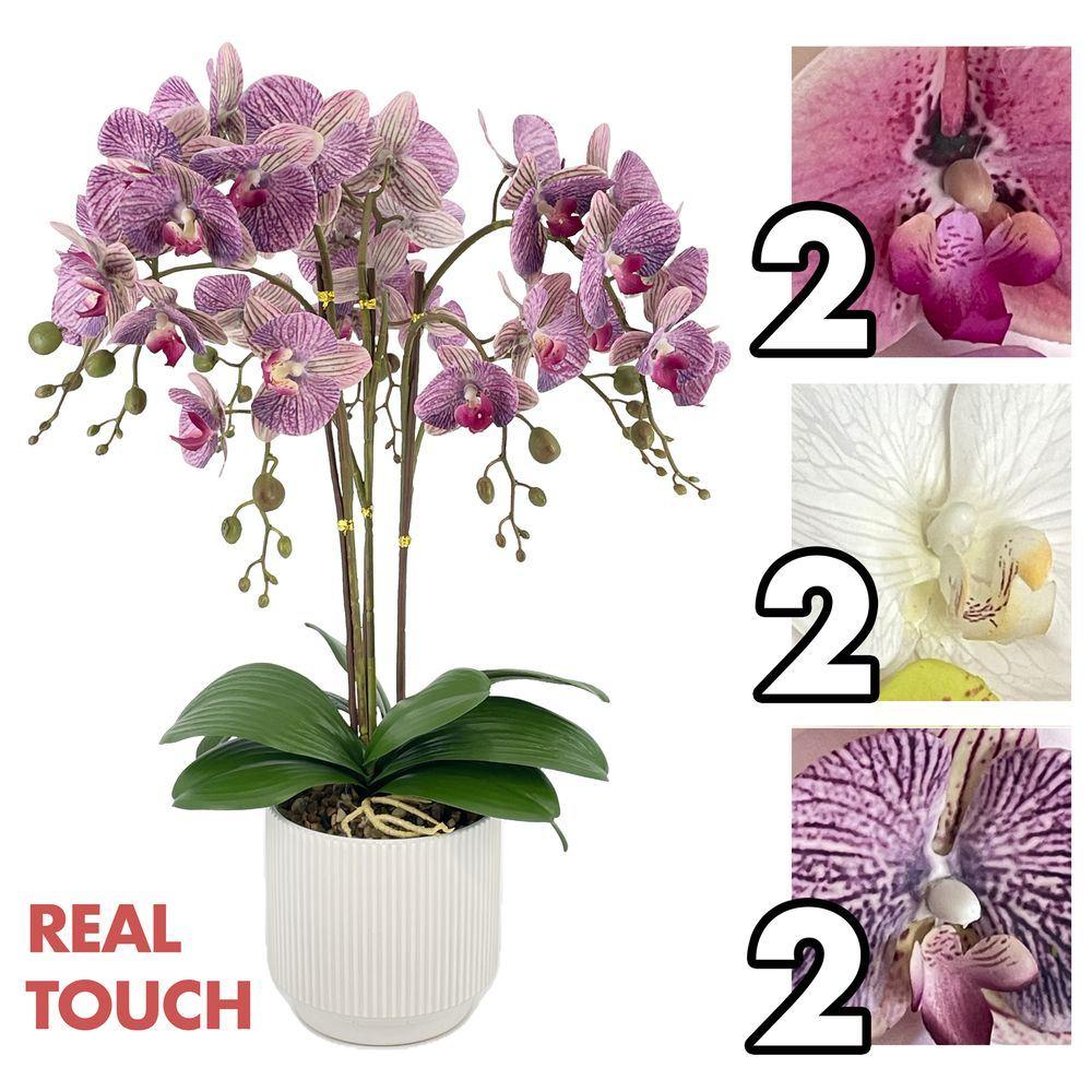 MEI 62454 Orchidea Royal Real Touch 66Cm 3 Ass.
