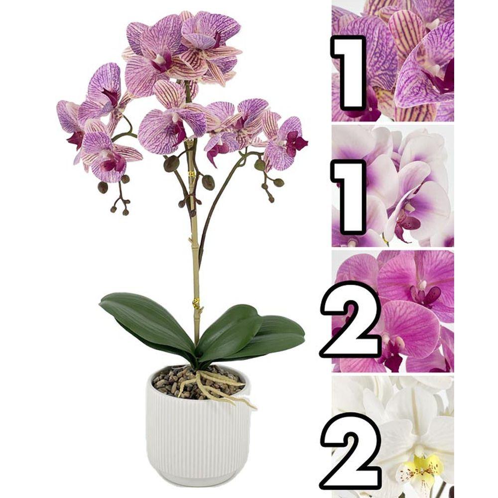 MEI 62653 Orchidea Vaso Fringe 53Cm 4 Ass.