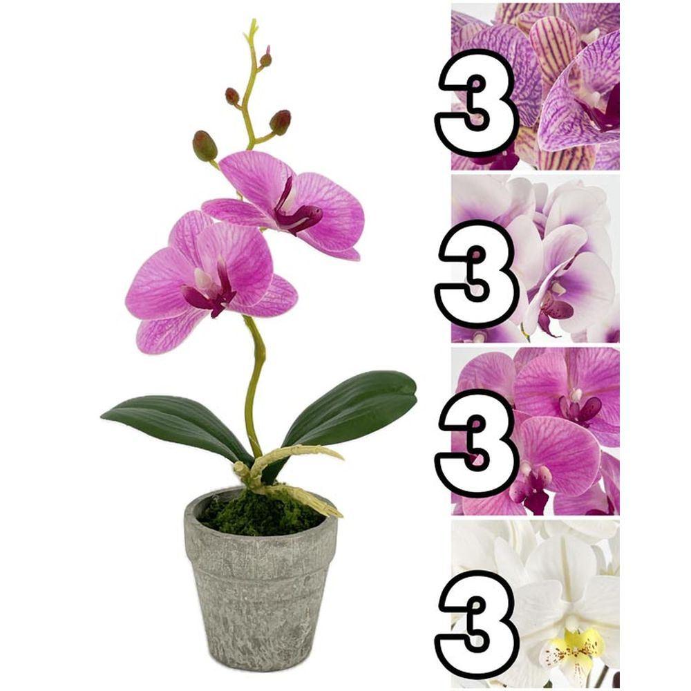MEI 62654 Vasetto Small Orchid 27,5Cm 4 Ass.