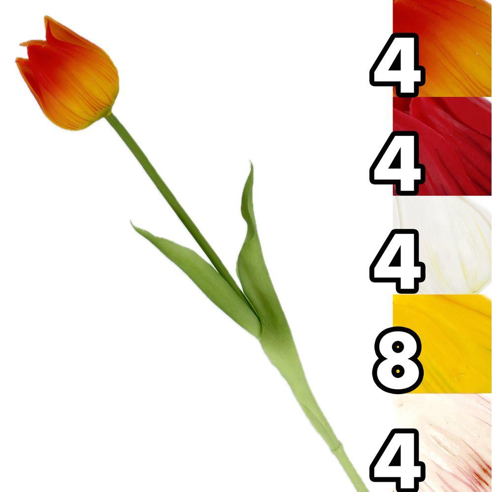 MEI 62720 Stelo Tulipano Singolo Crown 46Cm 5 Ass.
