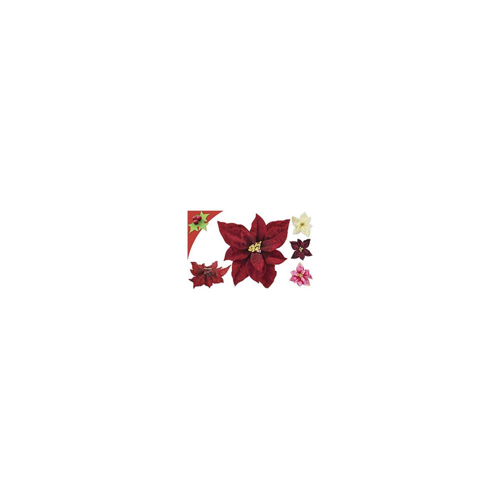 Nic 40335 Pinza Natale Superior Easy