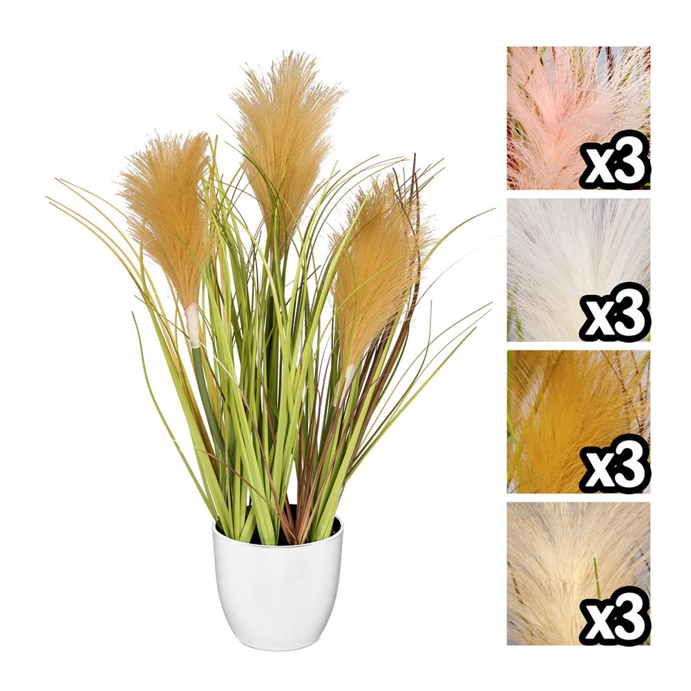 Nic 57163 Pianta Pampas Vaso Bianco