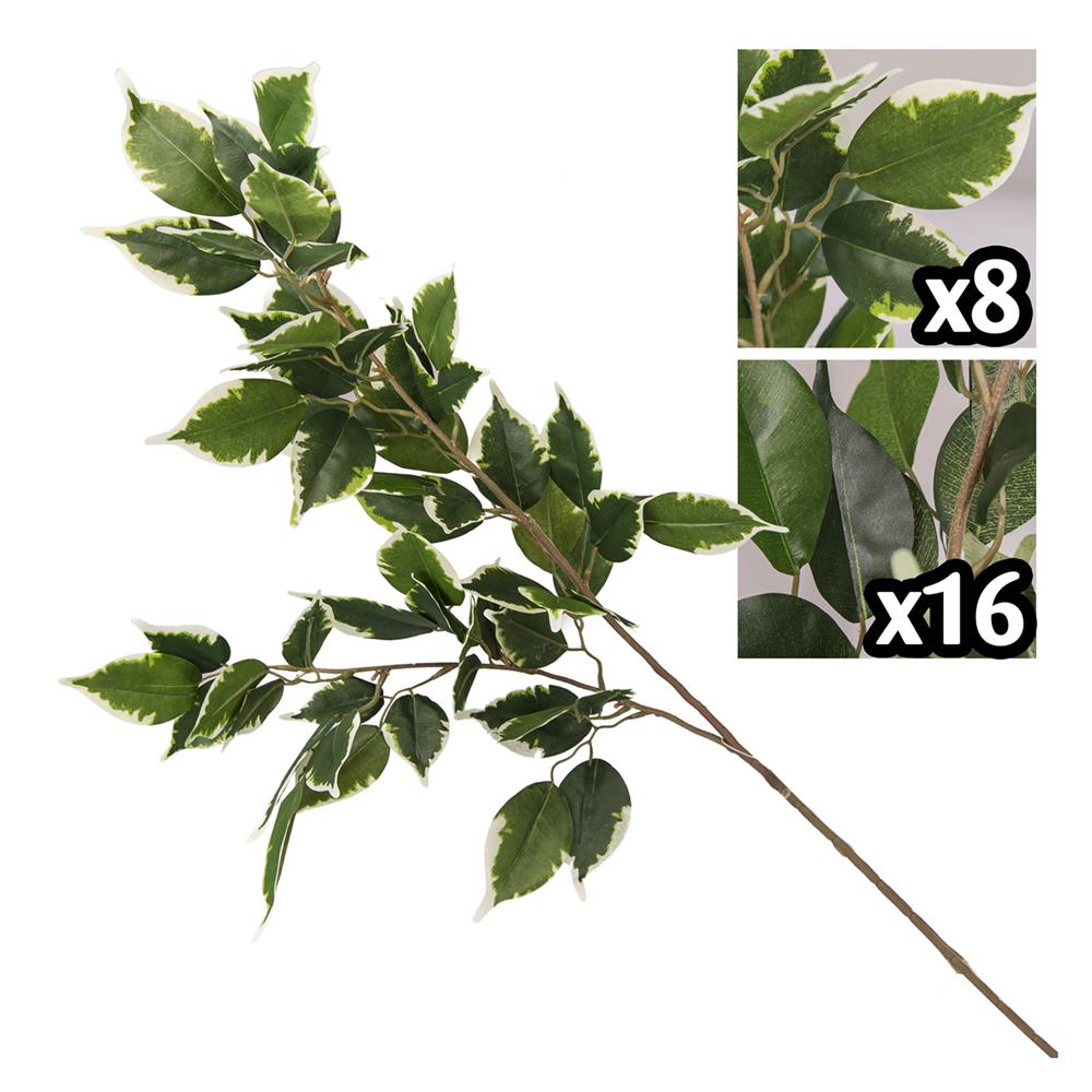 Nic 57191 Stelo Ficus 90Cm 2 Ass.