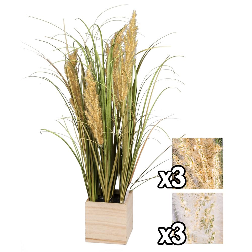 Nic 57751 Pianta Pampas Vaso Legno 56Cm