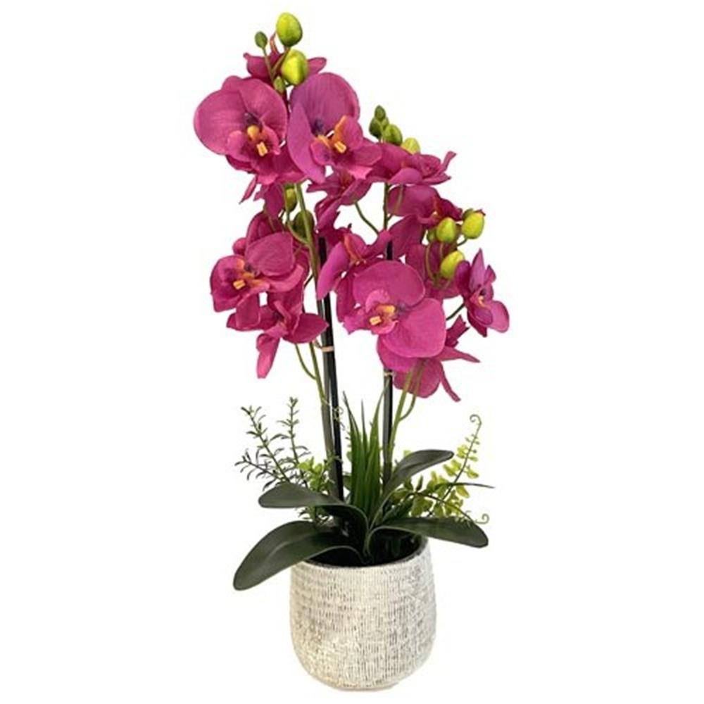 Nic 59494 Vaso Orchidea 4 Steli 48Cm 3 Ass.