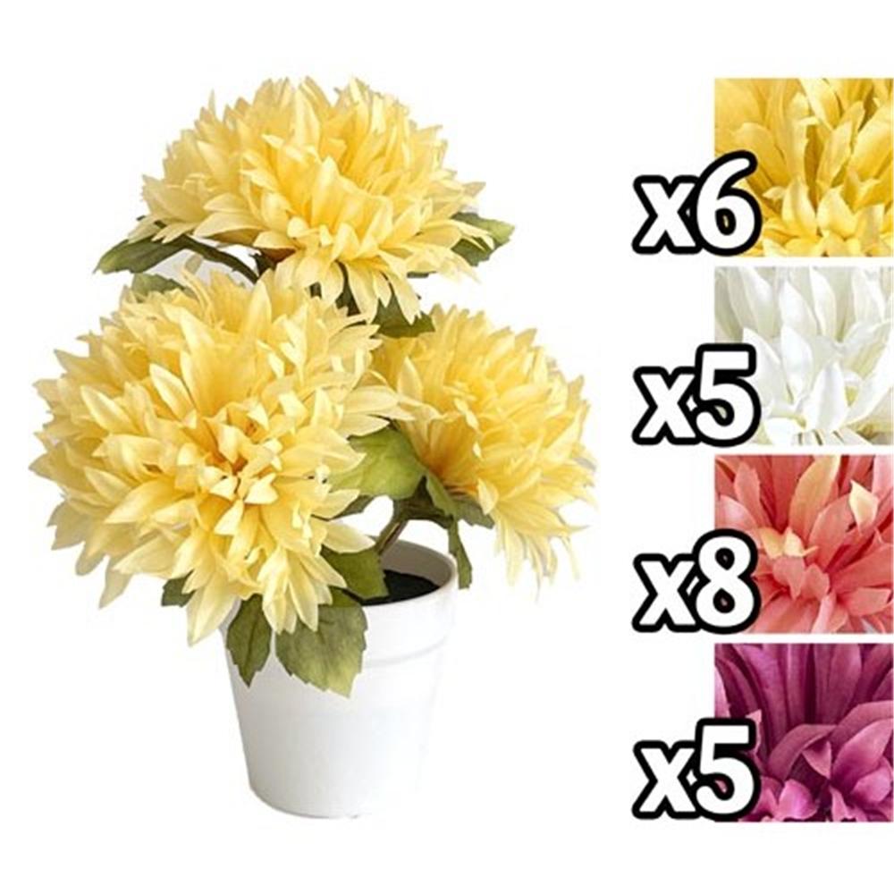 Nic 59528 Piantina Crisantemo Pot 24Cm 4 Ass.