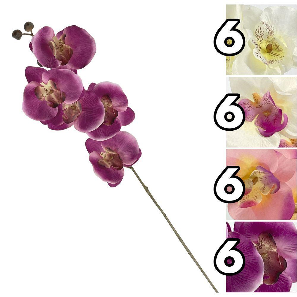 NIC 62244 Ramo Orchidea Single 73Cm 4 Ass.