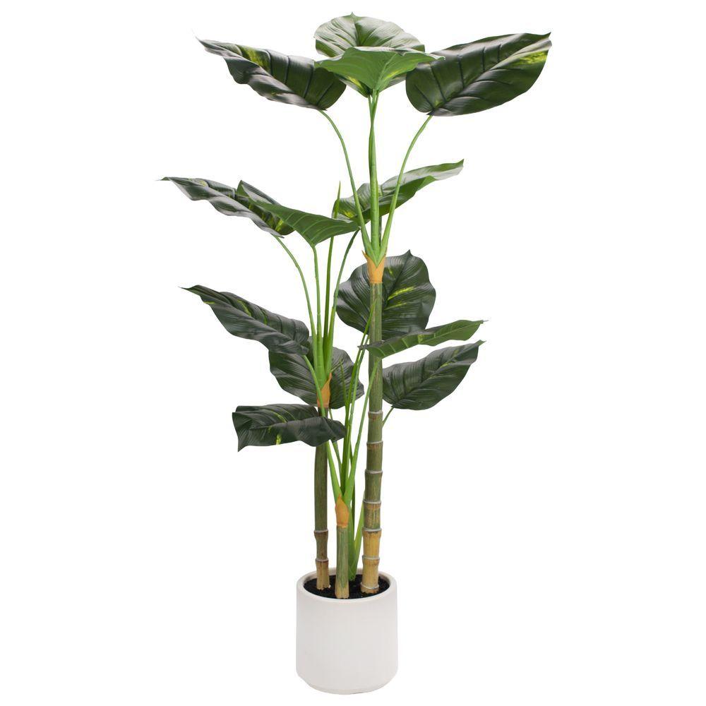 NIC 62548 Pianta Scindapso In Vaso 120Cm