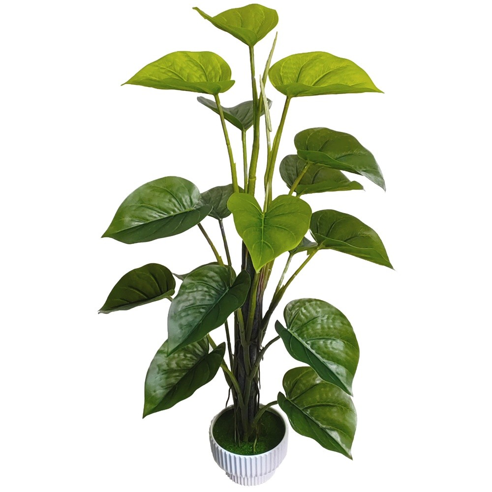PIC 62759 Pianta Tropicale In Vaso Green 67Cm